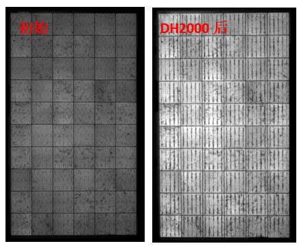 图13 组件采用VA33含量EVA封装后，DH2000前后的EL图