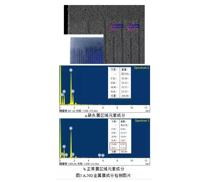 缺失膜与正常膜区域的元素检测结果