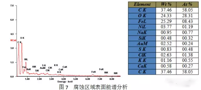 扫描电子显微镜检查及能谱分析1